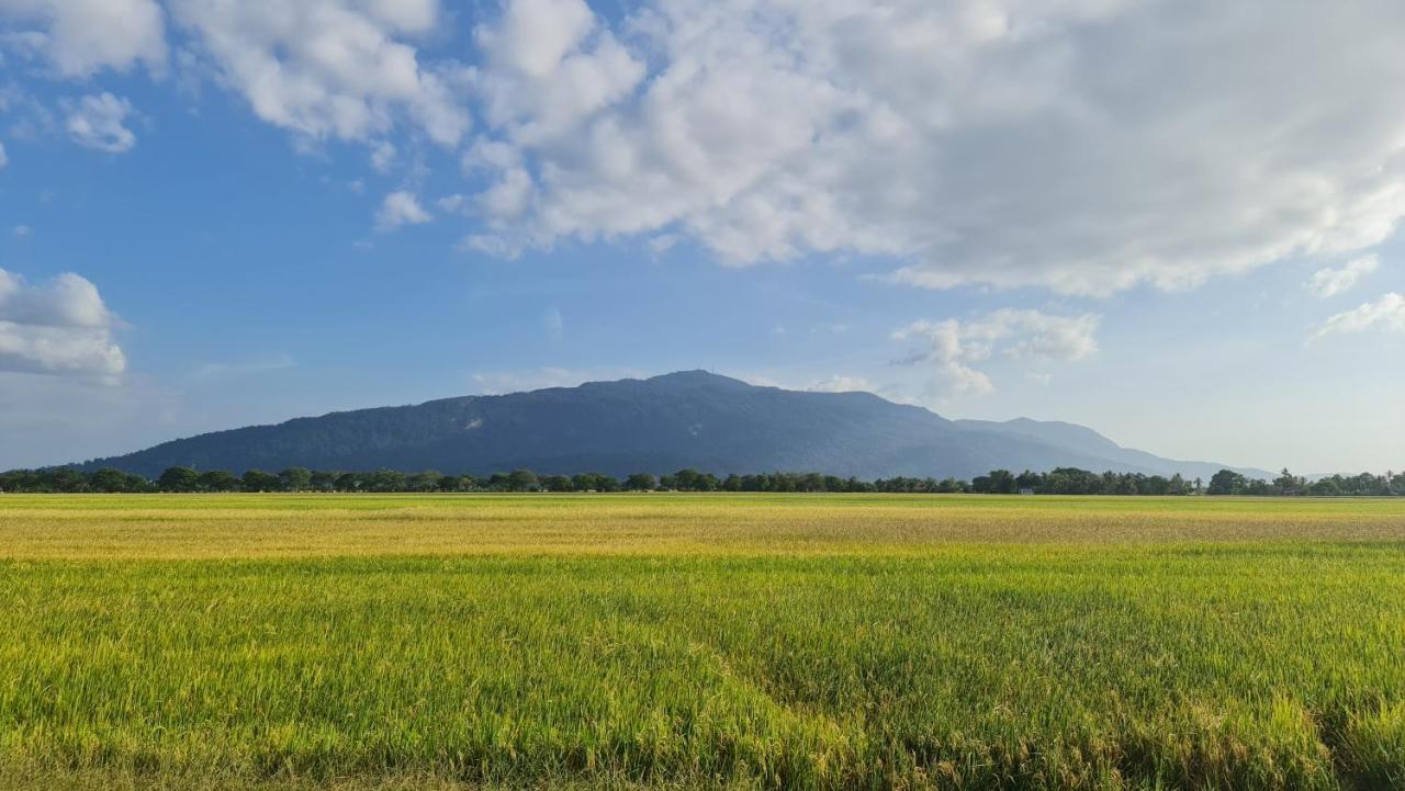 Ea Homestay Lembah Bujang Merbok Bedung Exterior photo