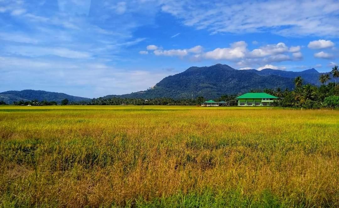 Ea Homestay Lembah Bujang Merbok Bedung Exterior photo