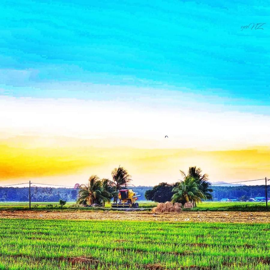 Ea Homestay Lembah Bujang Merbok Bedung Exterior photo